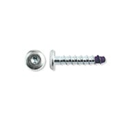 Blue-tip screwbolts - Dome head (available size 6mm)